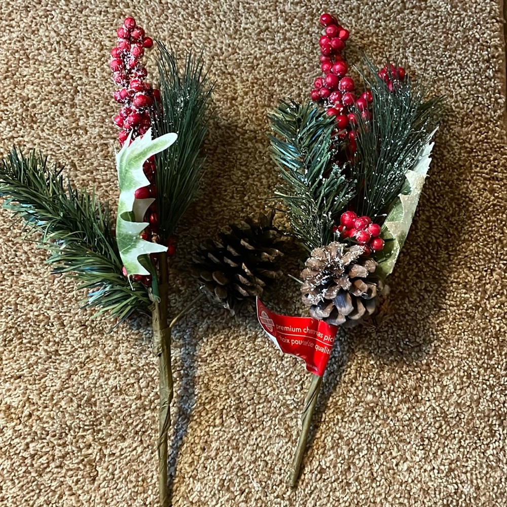 2 Christmas picks